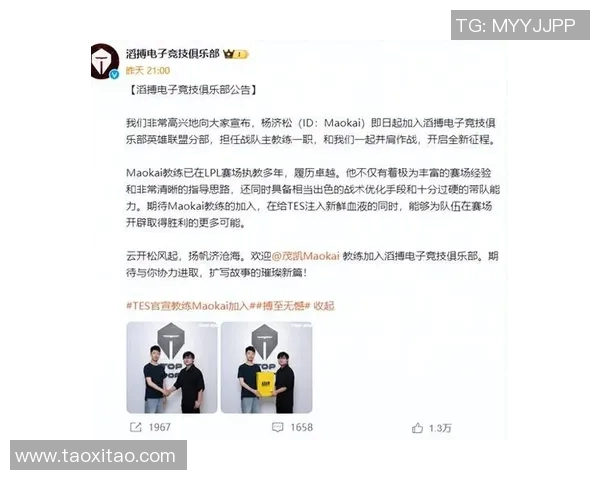 赛后复盘分析EDG与TES的团队配合与战术执行细节