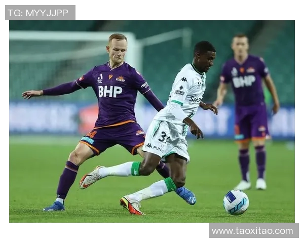 墨尔本联队与珀斯野猫激战在即谁将赢得这场篮球盛宴 墨尔本联队与珀斯野猫激战在即谁将赢得这场篮球盛宴