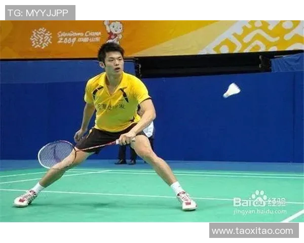 广州羽毛球队进攻战术深度分析与实战应用探讨 广州羽毛球队进攻战术深度分析与实战应用探讨