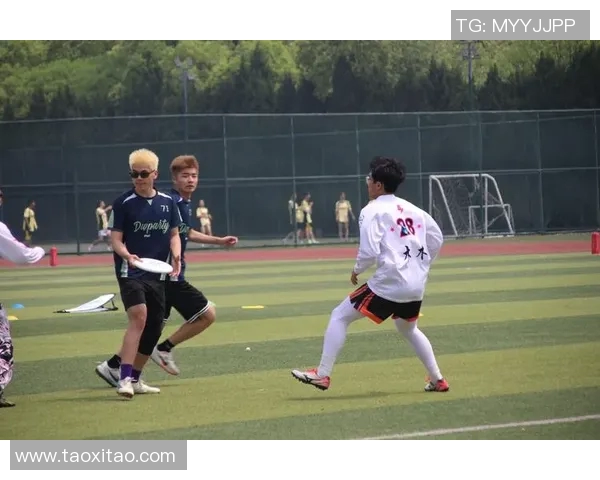 飞盘焦点：深入解析杭州飞盘队的战术节奏与团队协作